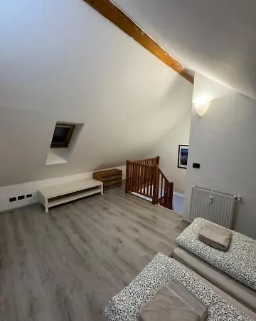 Vitkova Duplex With Terrace Near Florenc *