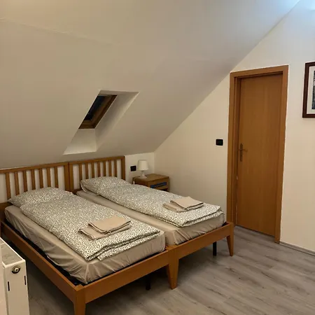 Vitkova Duplex With Terrace Near Florenc Prag