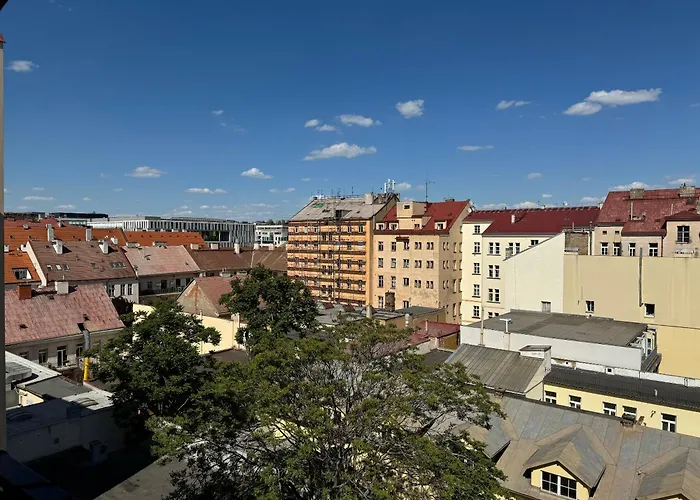Vitkova Duplex With Terrace Near Florenc Apartment
