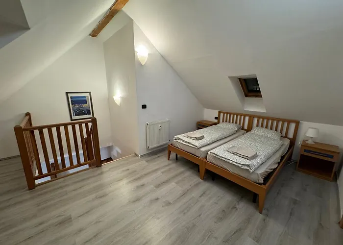 Vitkova Duplex With Terrace Near Florenc * Prag