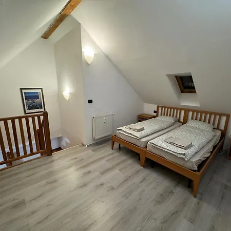 Vitkova Duplex With Terrace Near Florenc * פראג